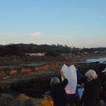 Cambria_0284 (November 02, 2013)